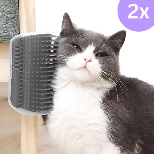 PURRCORNER