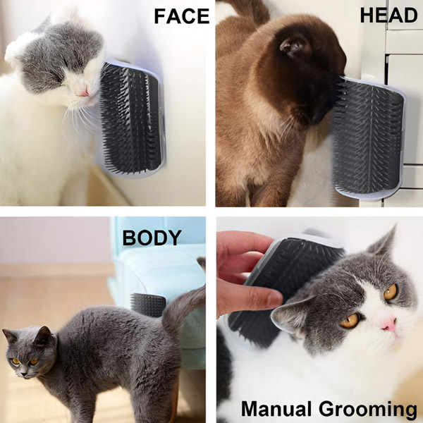 PURRCORNER